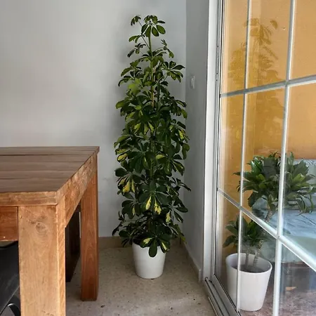La Biznaga Appartamento Málaga